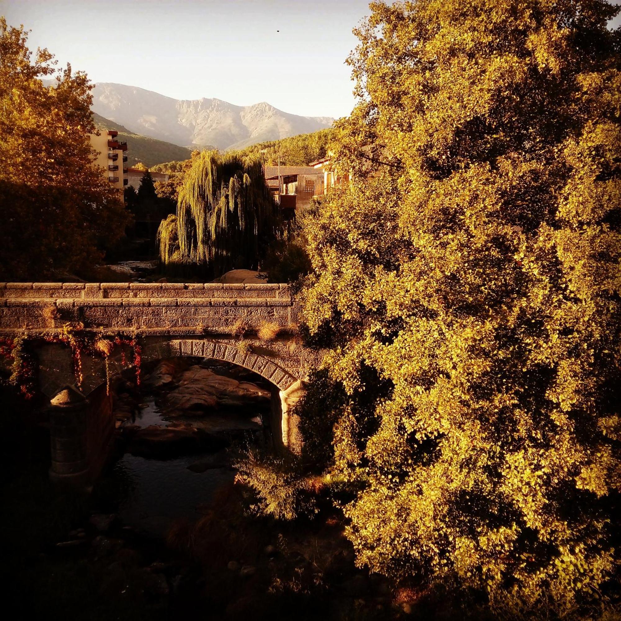 La Albarea By #Cherrygredos El Arenal  Extérieur photo