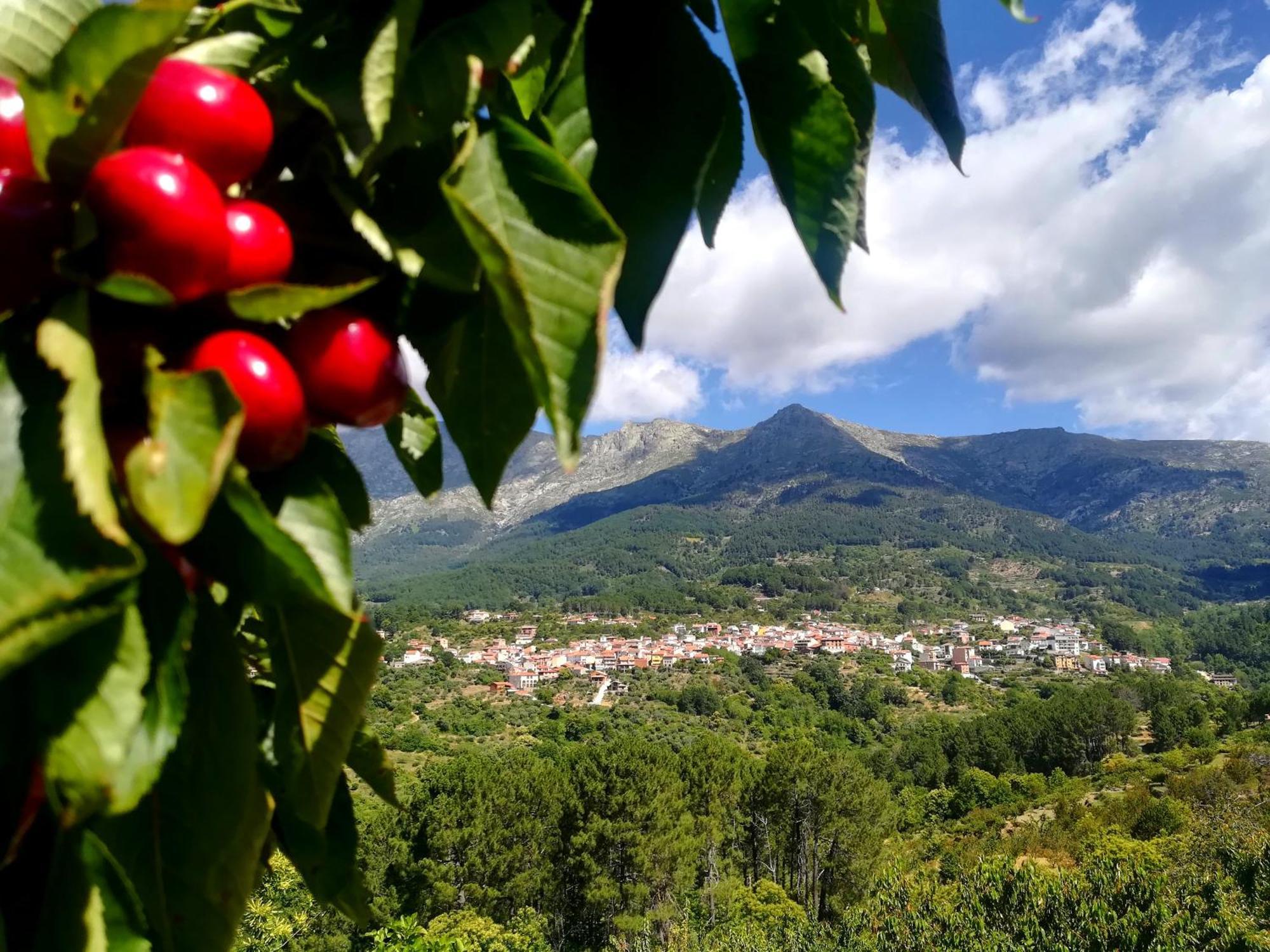 La Albarea By #Cherrygredos El Arenal  Extérieur photo