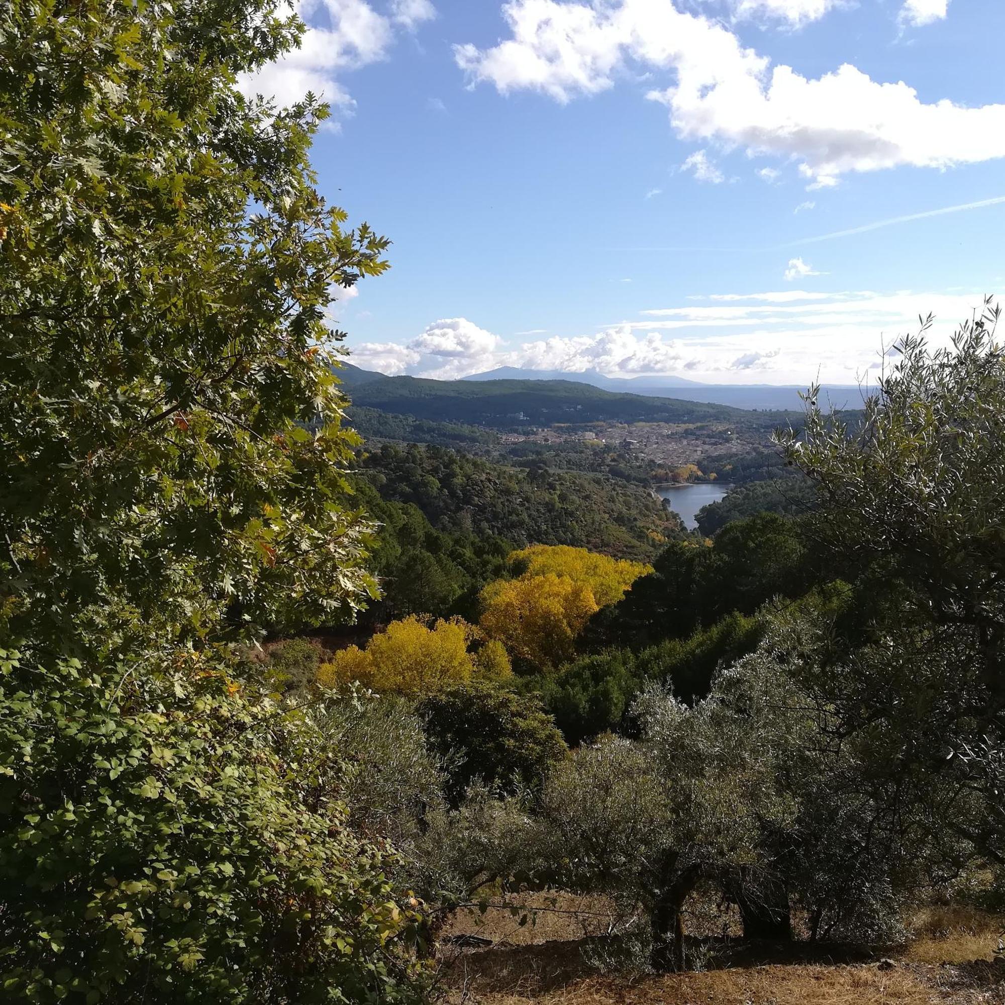 La Albarea By #Cherrygredos El Arenal  Extérieur photo