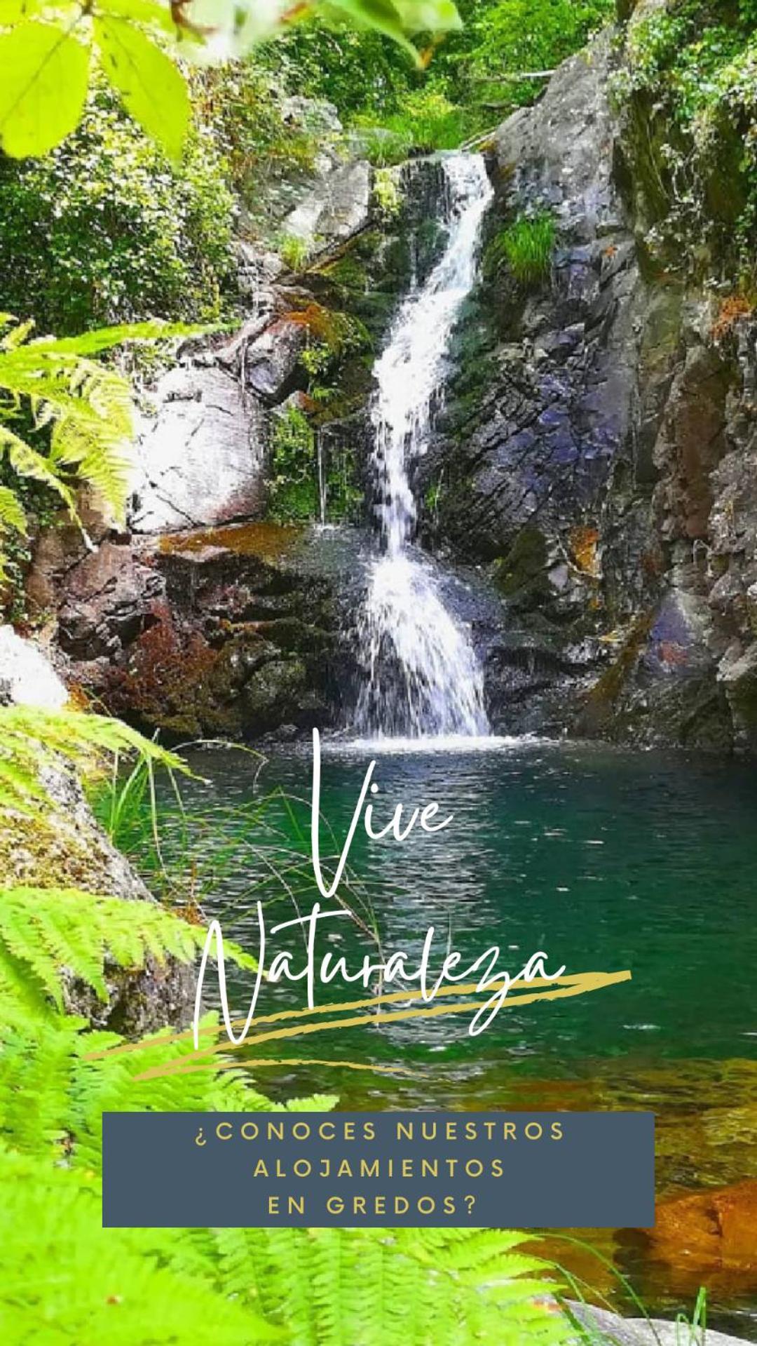 La Albarea By #Cherrygredos El Arenal  Extérieur photo
