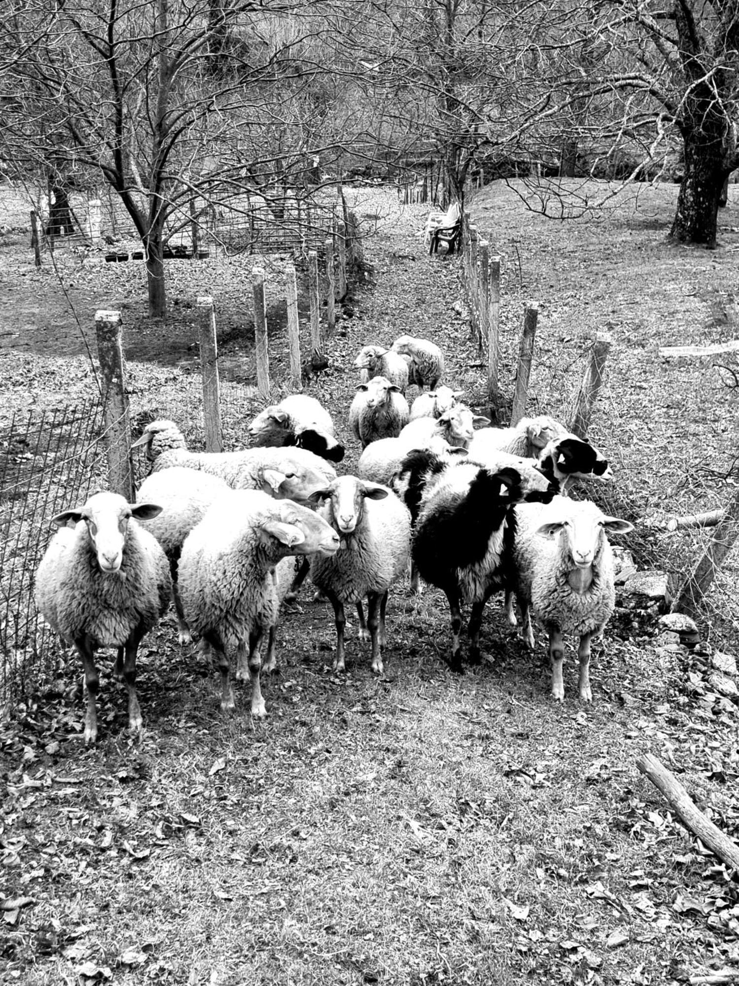 La Albarea By #Cherrygredos El Arenal  Extérieur photo