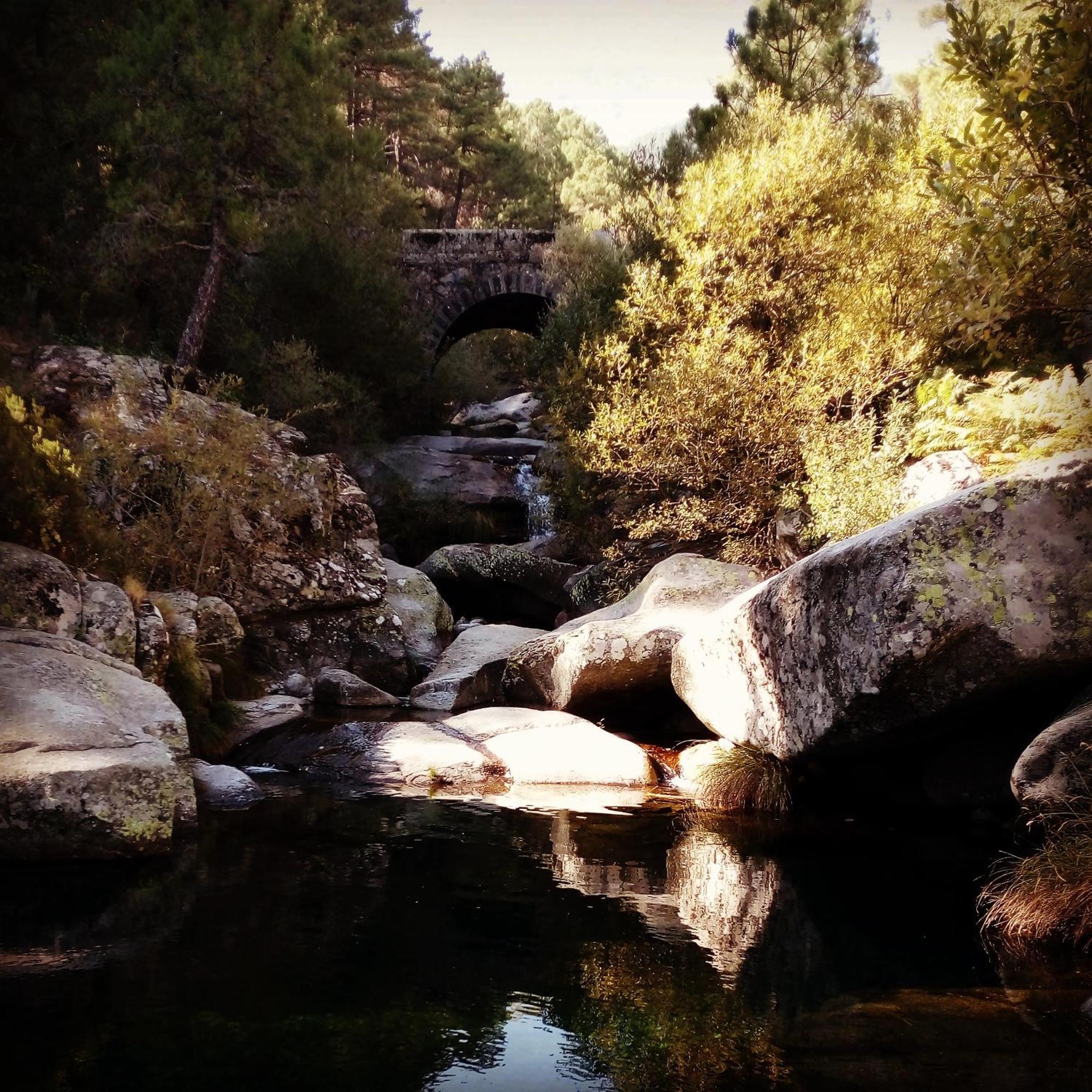 La Albarea By #Cherrygredos El Arenal  Extérieur photo