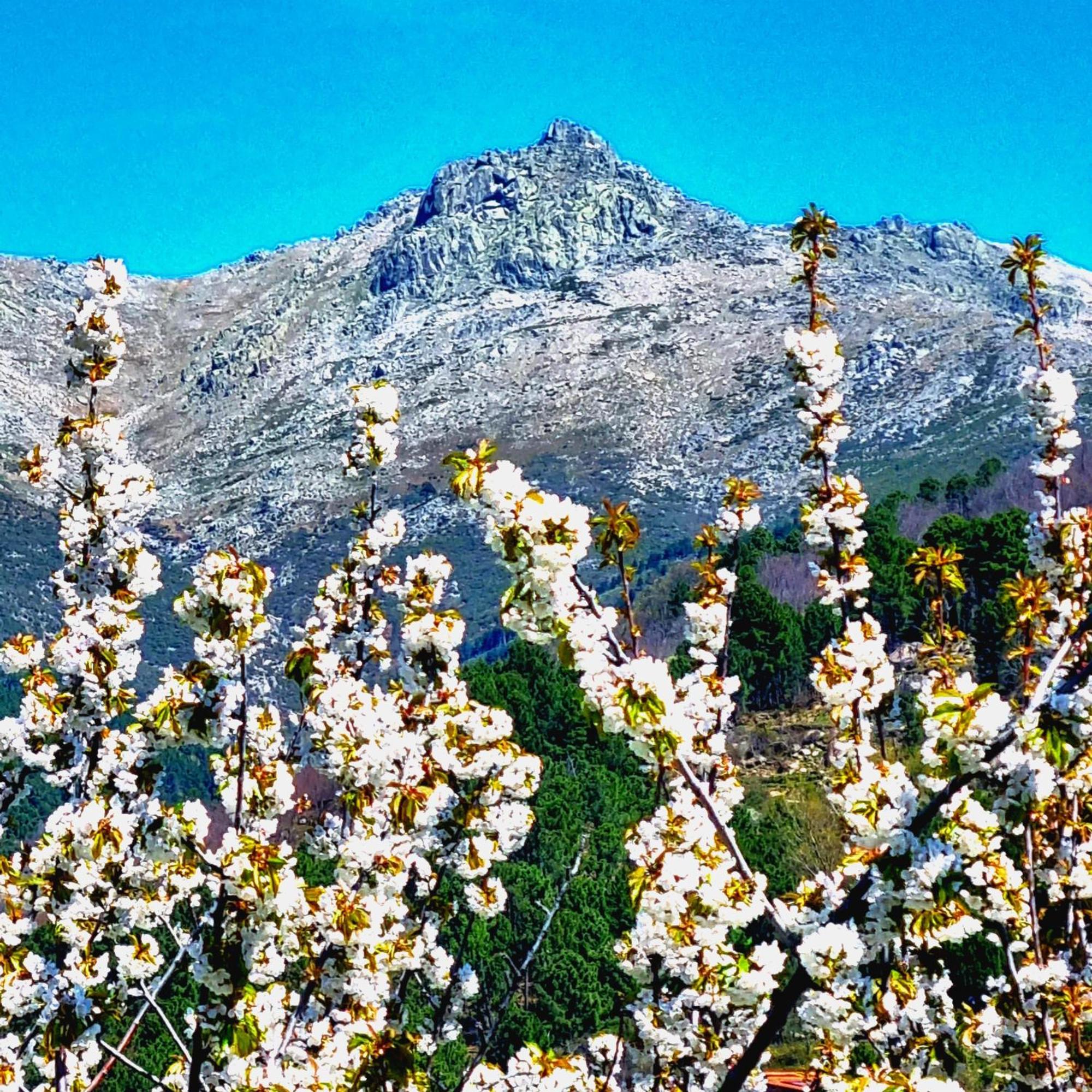 La Albarea By #Cherrygredos El Arenal  Extérieur photo