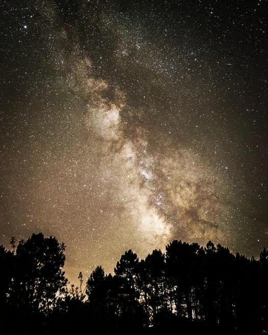 La Albarea By #Cherrygredos El Arenal  Extérieur photo